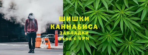 ГАЛЛЮЦИНОГЕННЫЕ ГРИБЫ Каменногорск