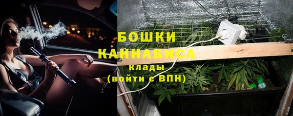 ГАЛЛЮЦИНОГЕННЫЕ ГРИБЫ Каменка