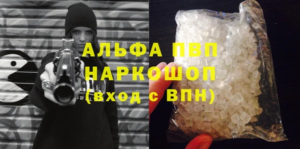 ГАЛЛЮЦИНОГЕННЫЕ ГРИБЫ Каменка