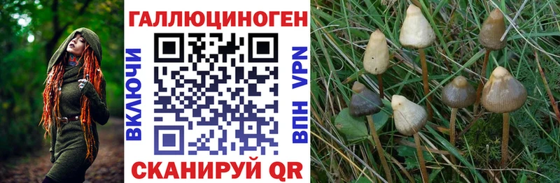 Галлюциногенные грибы Magic Shrooms  где купить наркотик  Тольятти 
