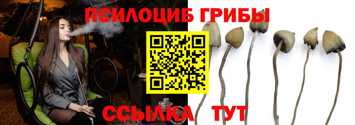 Псилоцибиновые грибы GOLDEN TEACHER Тольятти