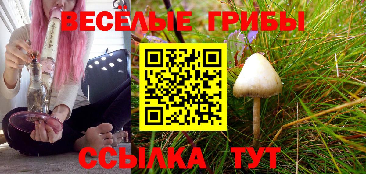 Галлюциногенные грибы мухоморы  Вход с VPN  Тольятти 